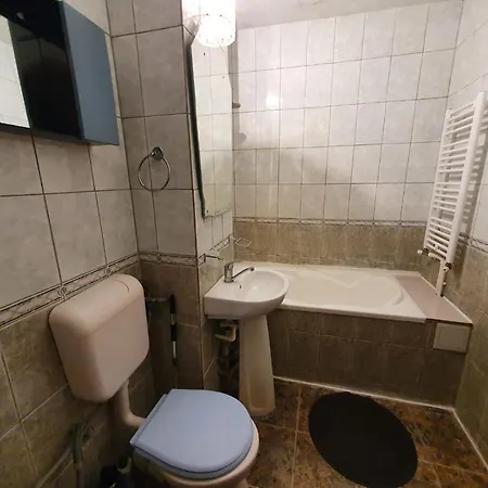 Apartament Zona City Mall * 康斯坦察